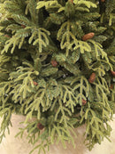 Árvore de Natal Pinheiro Super Realista Santorini 2,10m 4428 Galhos